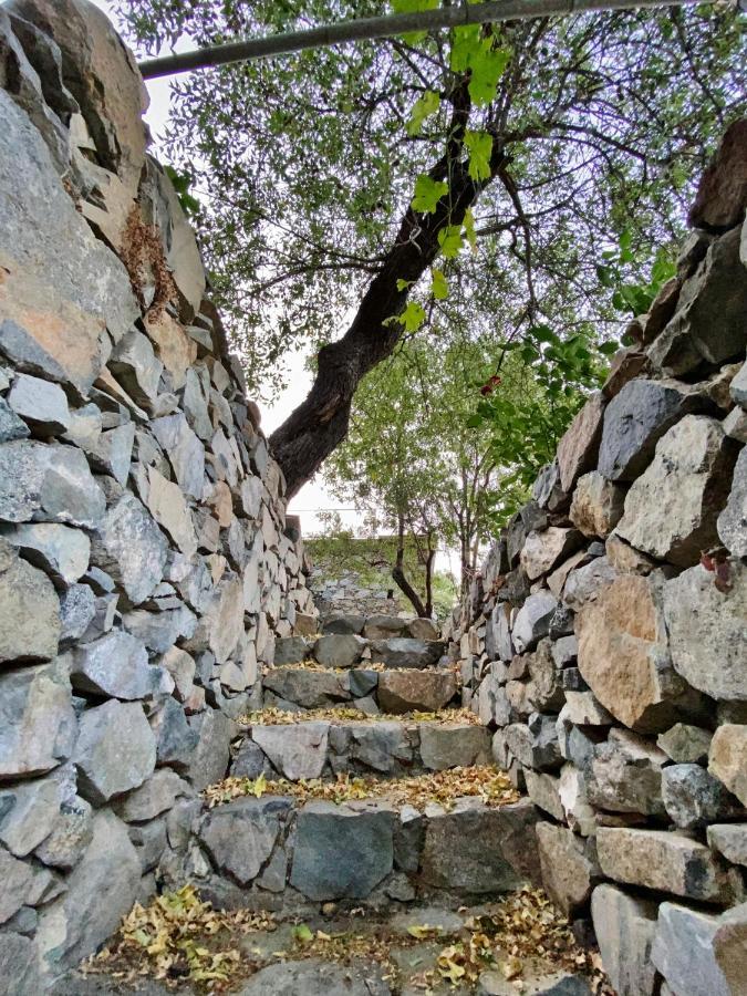 فندق Arhontiko Askas Mansion المظهر الخارجي الصورة